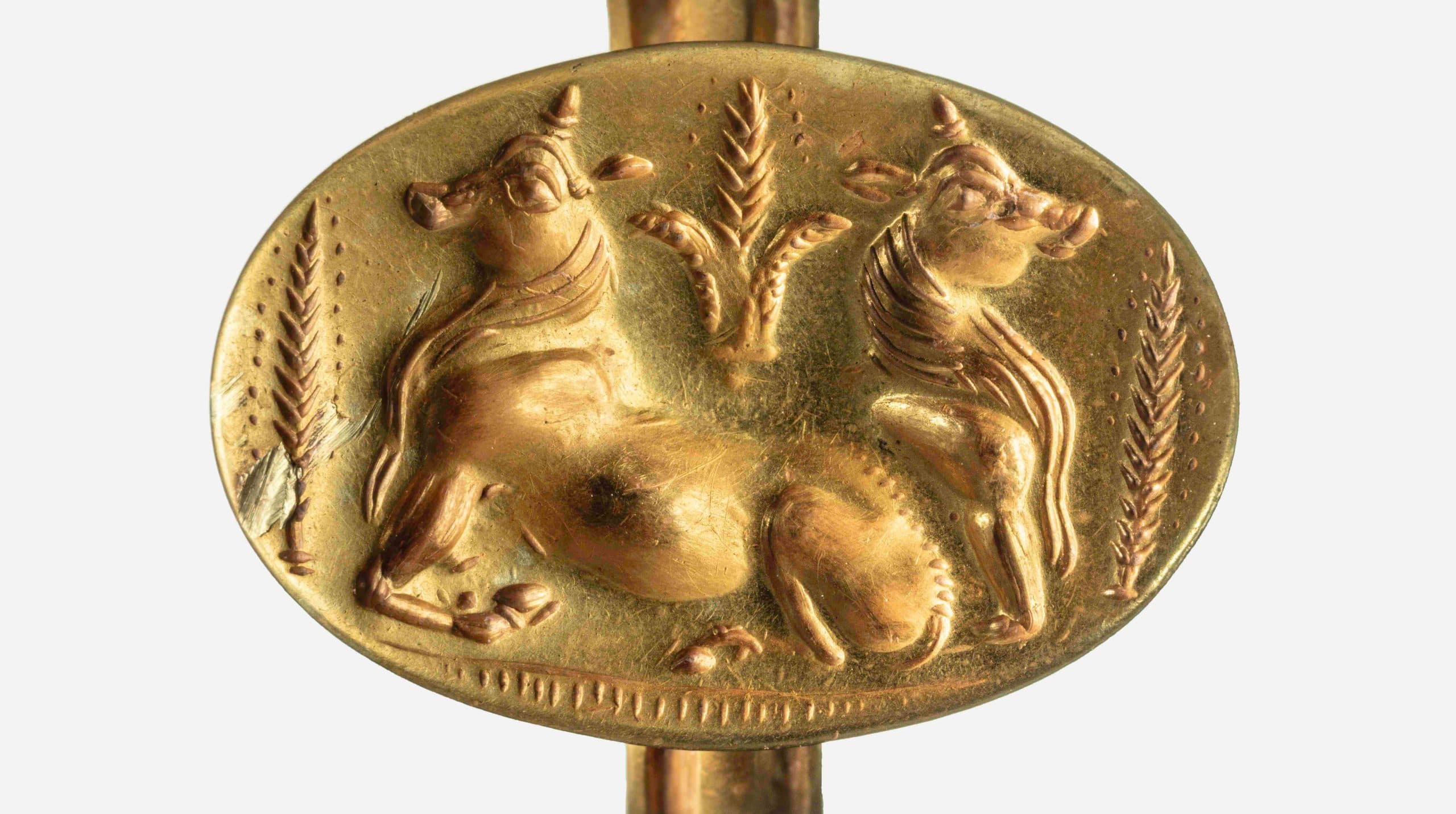 Color photo of gold ring on gray background