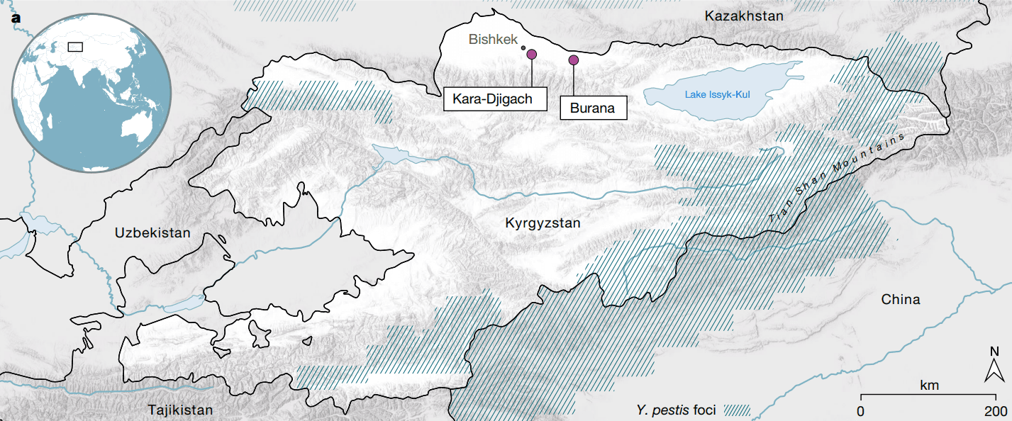 color map of Kyrgyzstan