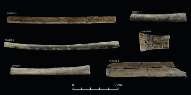 Snuff tubes carved from hollow bones and used to inhale tobacco and hallucinogenic vilca.